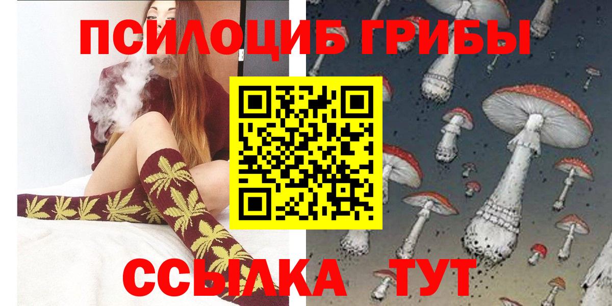 Галлюциногенные грибы Cubensis Королёв