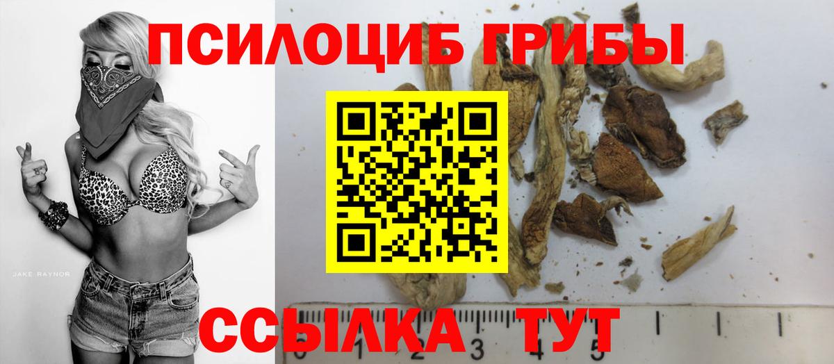 Королёв  Псилоцибиновые грибы MAGIC MUSHROOMS  Вход с VPN 
